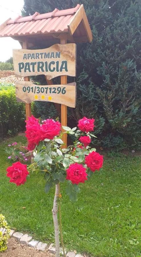 Apartman Patricia Apartment Fužine Exterior foto